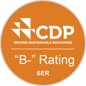 Cdp Rating B S2