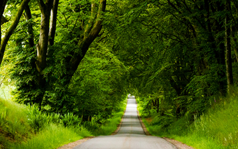 Baeredygtighed Forside NY