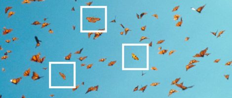 Energy Cool nominated for Owner Manager of the Year 2021