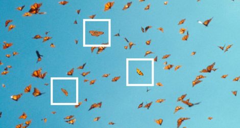 Energy Cool nominated for Owner Manager of the Year 2021